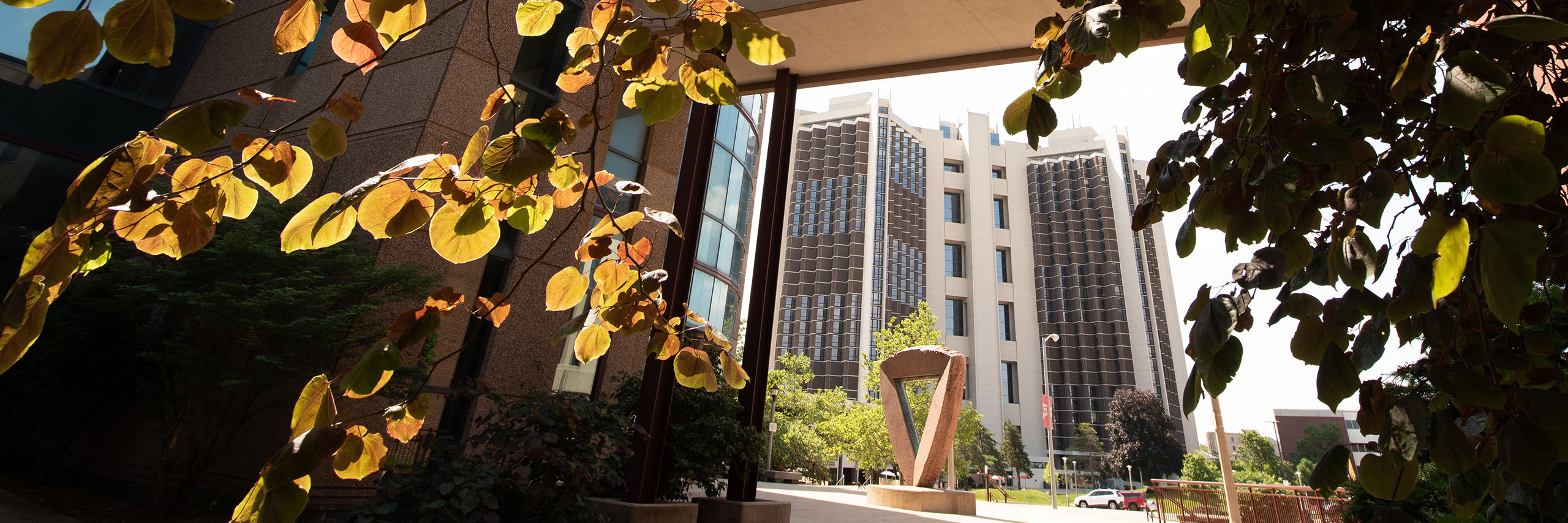 Watterson towers building in the distant background with flowering tree branches in the foreground